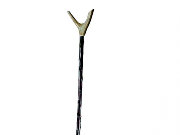 Antler thumbstick on blackthorn shaft i gruppen vr. produkter / Walking sticks hos PAW of Sweden AB (2408)